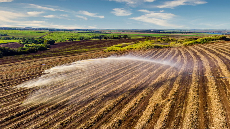 Slurry Irrigation Field Aerial View منظر جوي لحقل الري بالملاط