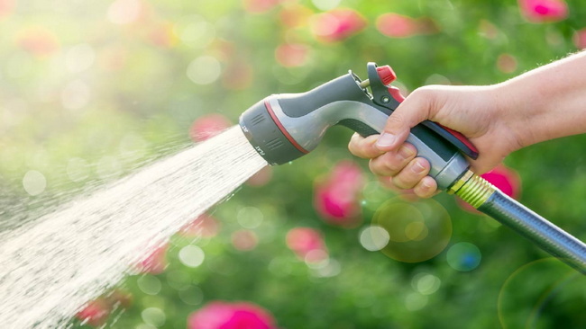 How to Choose a Durable, Kink-Resistant Hose for Your Home and Garden كيفية اختيار خرطوم متين ومقاوم للالتواء لمنزلك وحديقتك